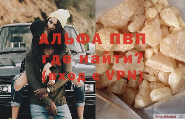 индика Богданович